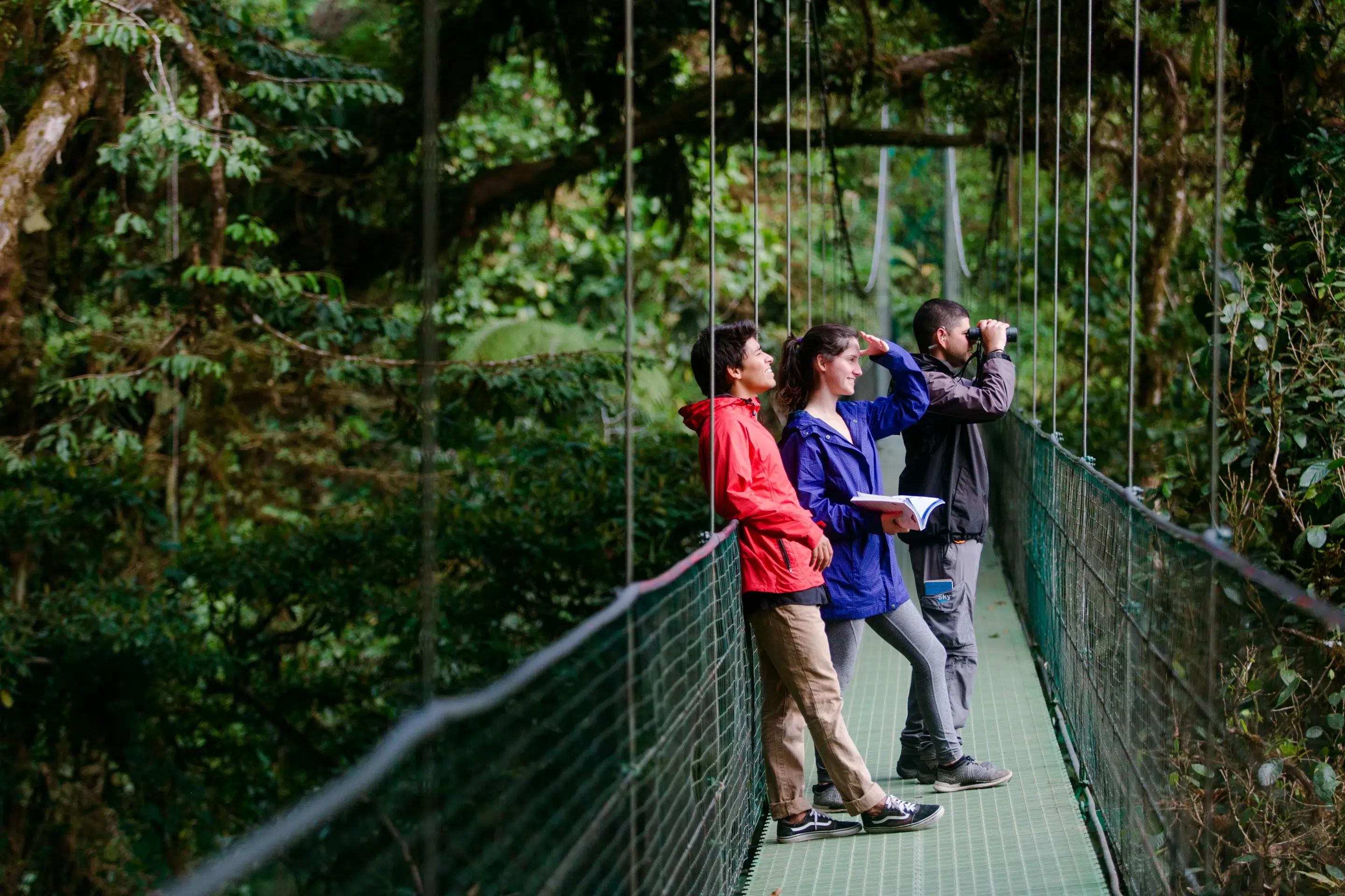 Wander through Monteverde and discover the many animals that make this place unique and biodiverse.