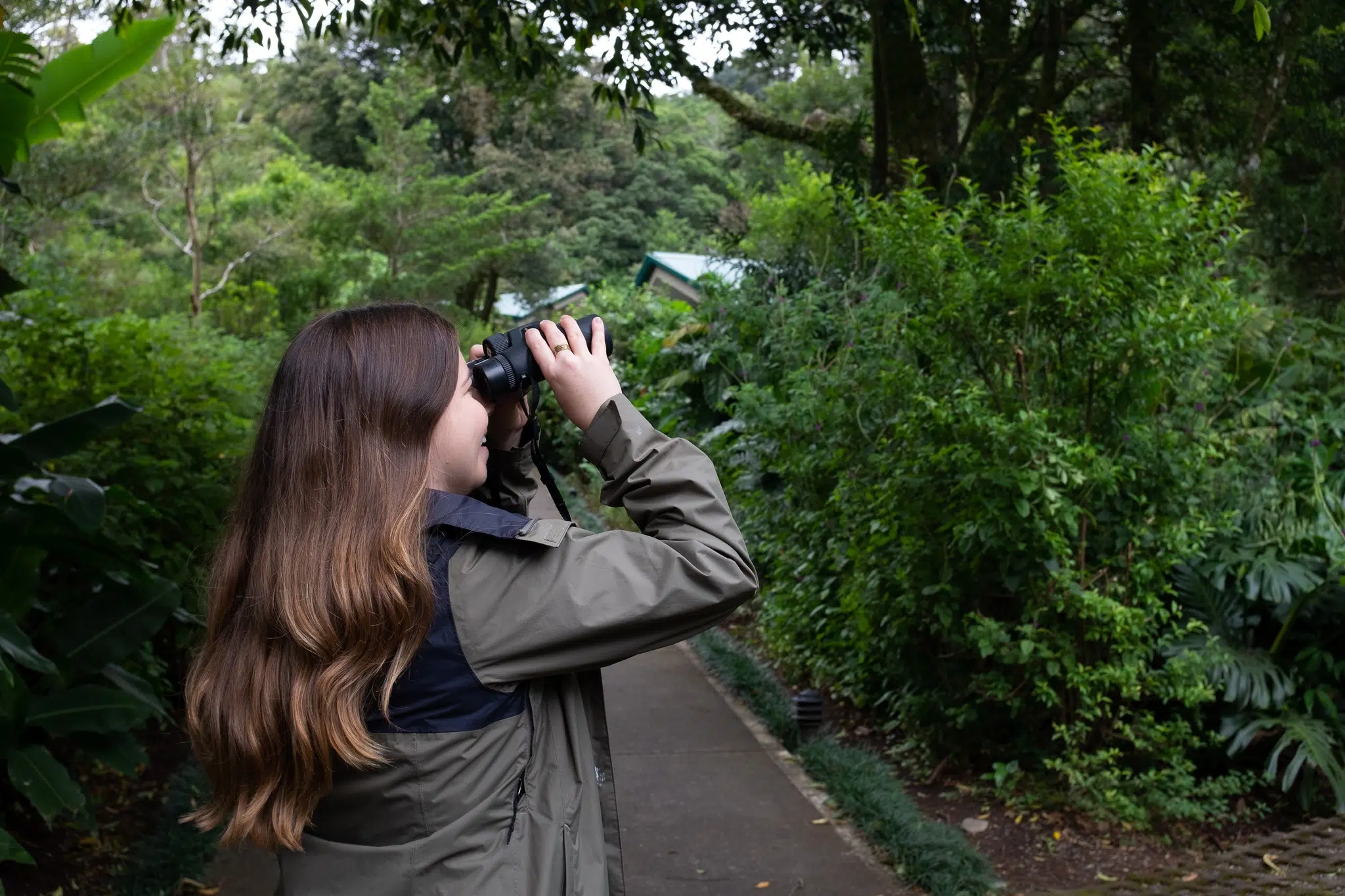 Explore the true cloud forest by including different activities on your itinerary!