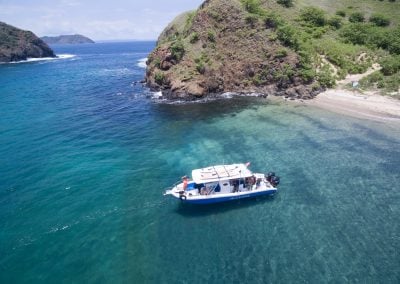Almaco Boat