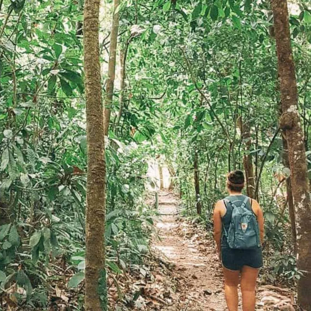 Carara National Park costa rica