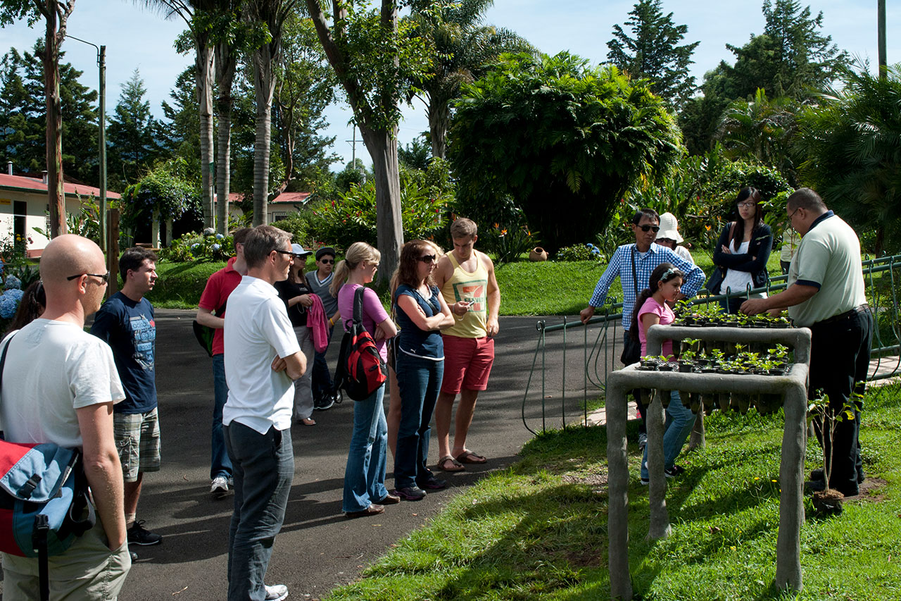 Discover the beauty of Costa Rica with our full-day tours!