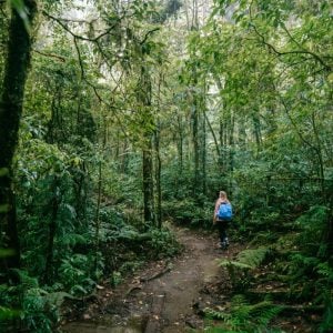 Beach and Cloud Forest Escape