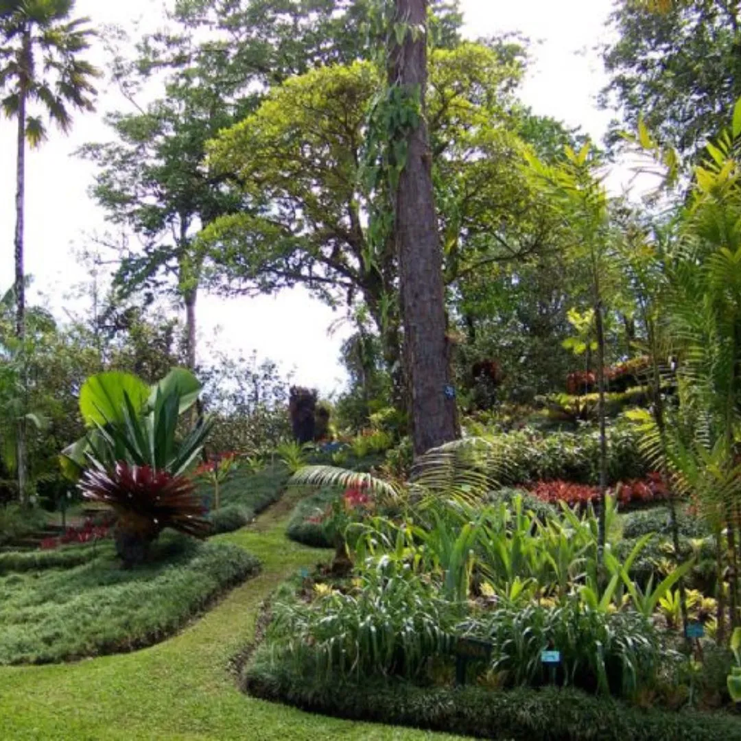 Wilson Botanical Garden-costa rica