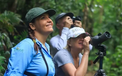 Birdwatching Tours Costa Rica: Your Ultimate Guide