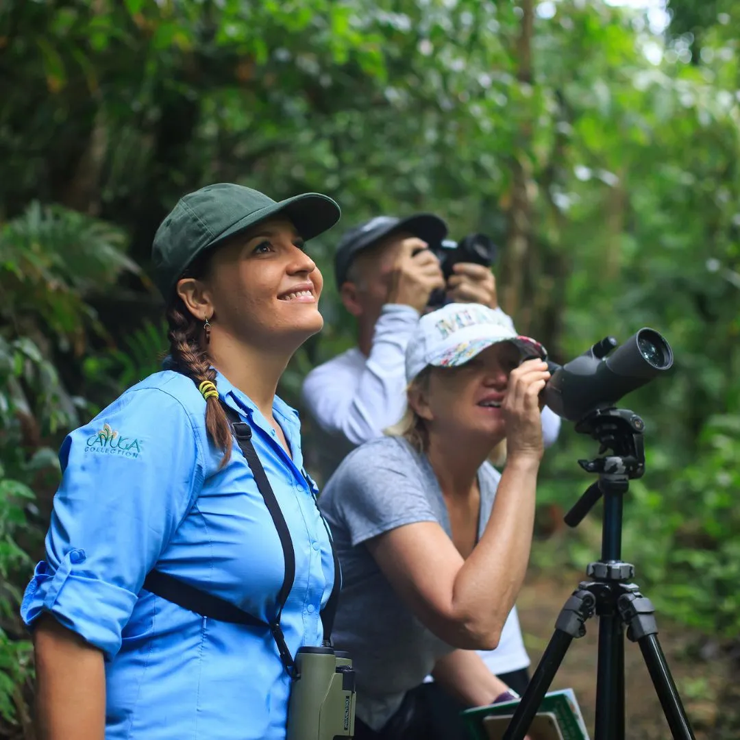 Group of hikers watching birds from a trail