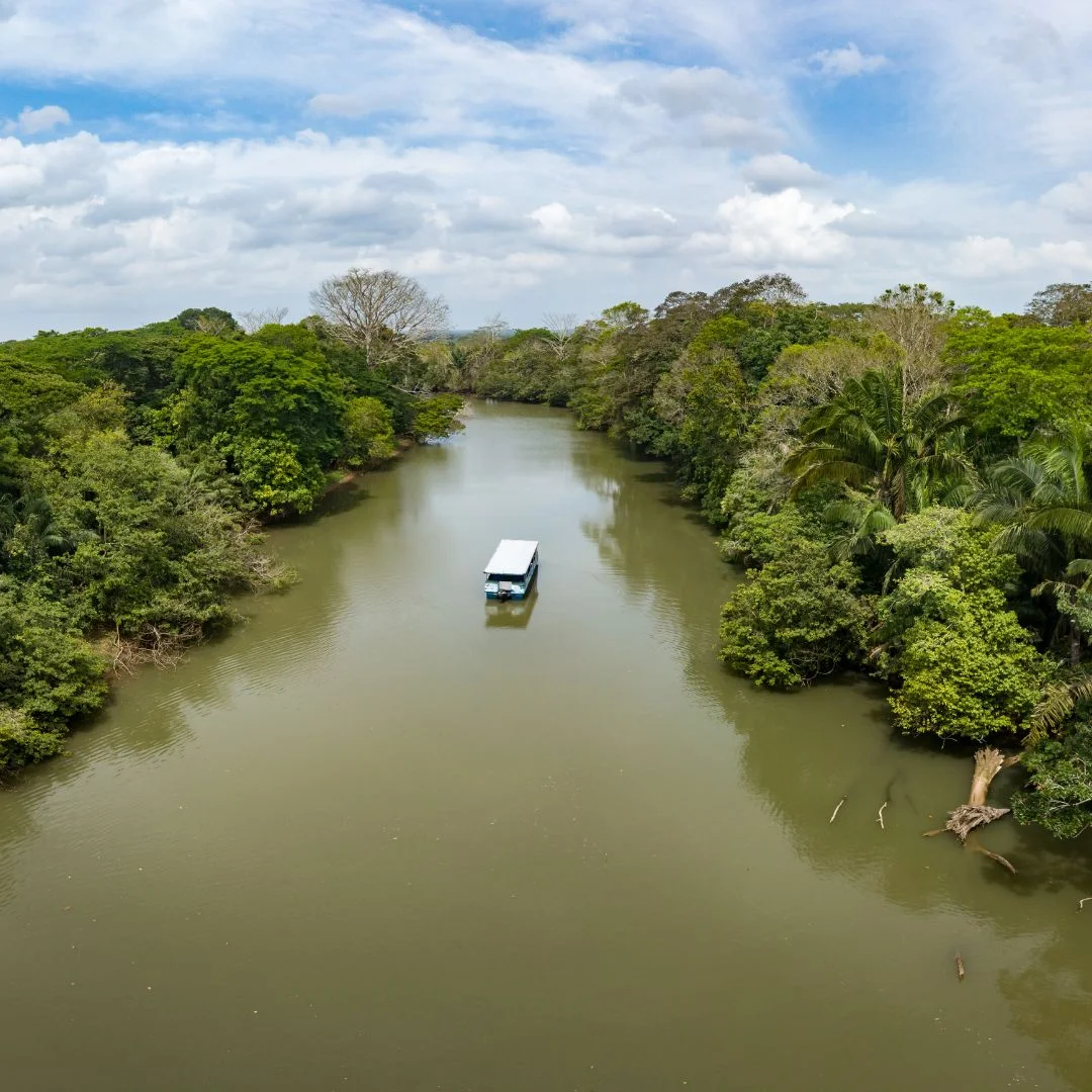 Caño Negro Rio Frío Costa rica