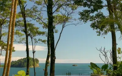 Costa Rica Beach Vacation: Pacific Coast vs. Caribbean Coast