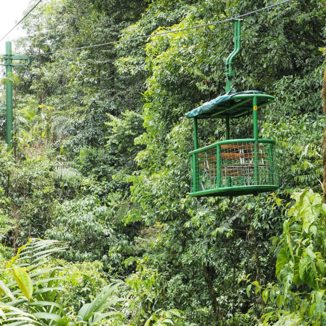 Braulio Carrillo Costa Rica Rainforest