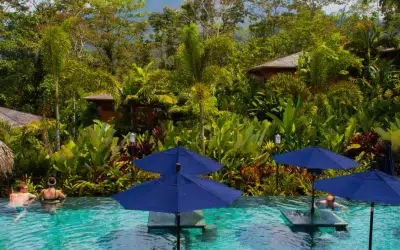 The Best Costa Rica Travel Guide: Expert Insights and Local Tips