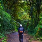 Person hiking through a lush cloud forest trail in Costa Rica, surrounded by green foliage.