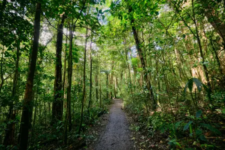 Choose Your Monteverde Adventure
