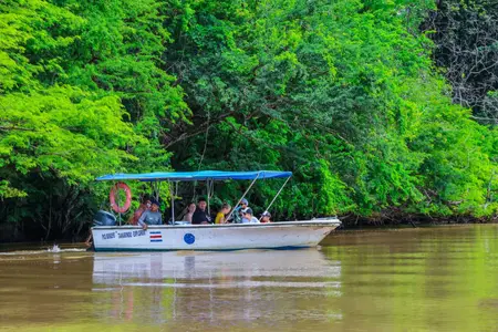 Mangroove & estuary tour on boat at Tamarindo