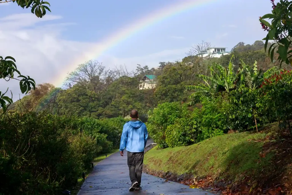 Free Day in Monteverde
