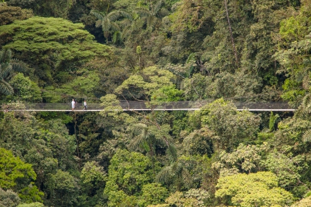 Nature Hanging Bridges + La Fortuna waterfall + Arenal Volcano Hike with lunch