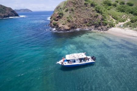 Half Day Private Charter Ocean Discovery