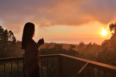 Transfer to Senda Hotel | Monteverde