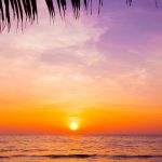 Vibrant purple and orange sunset over the Pacific Ocean in Costa Rica with palm leaves framing the view.