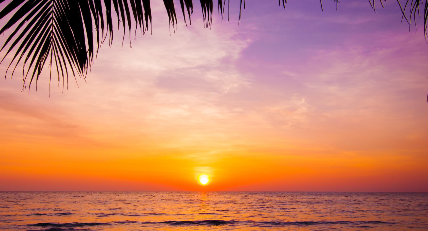 Vibrant purple and orange sunset over the Pacific Ocean in Costa Rica with palm leaves framing the view.