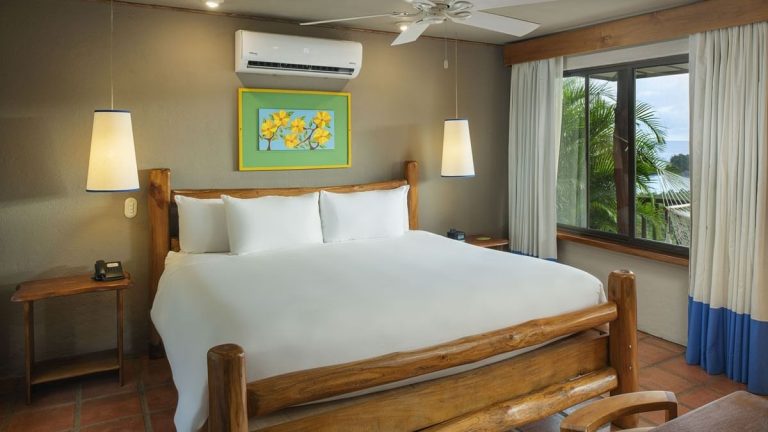 Deluxe Guest Room King