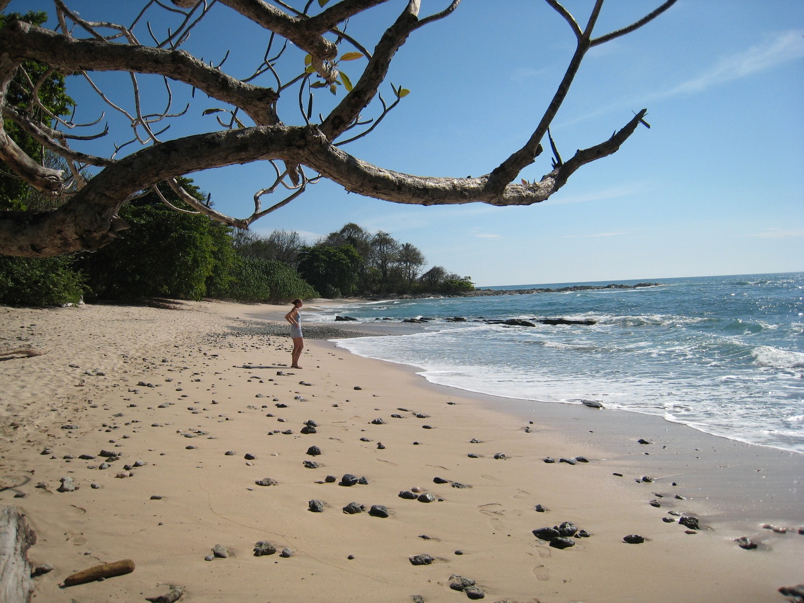 Cabo Blanco Absolute Natural Reserve Tour