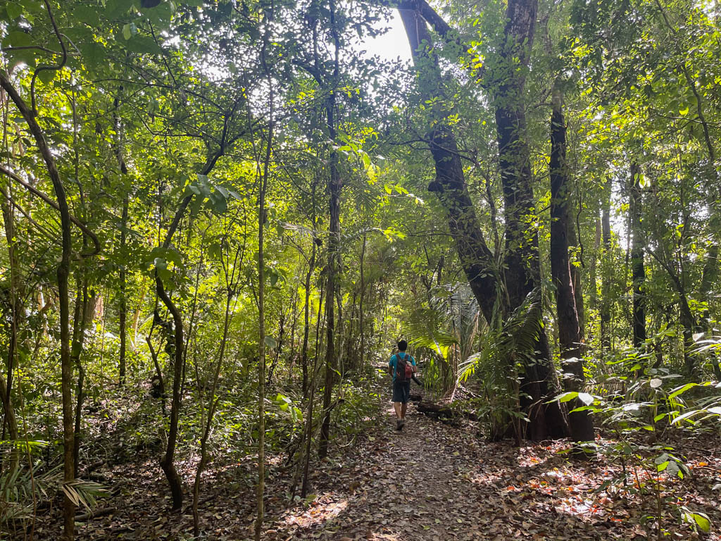 Cabo Blanco Absolute Natural Reserve Tour