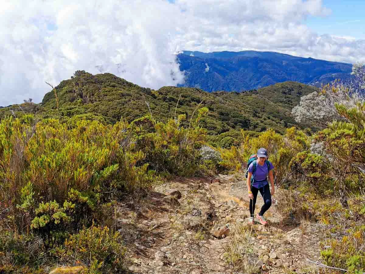 Savegre Lodge Hiking Cerro Buena Vista