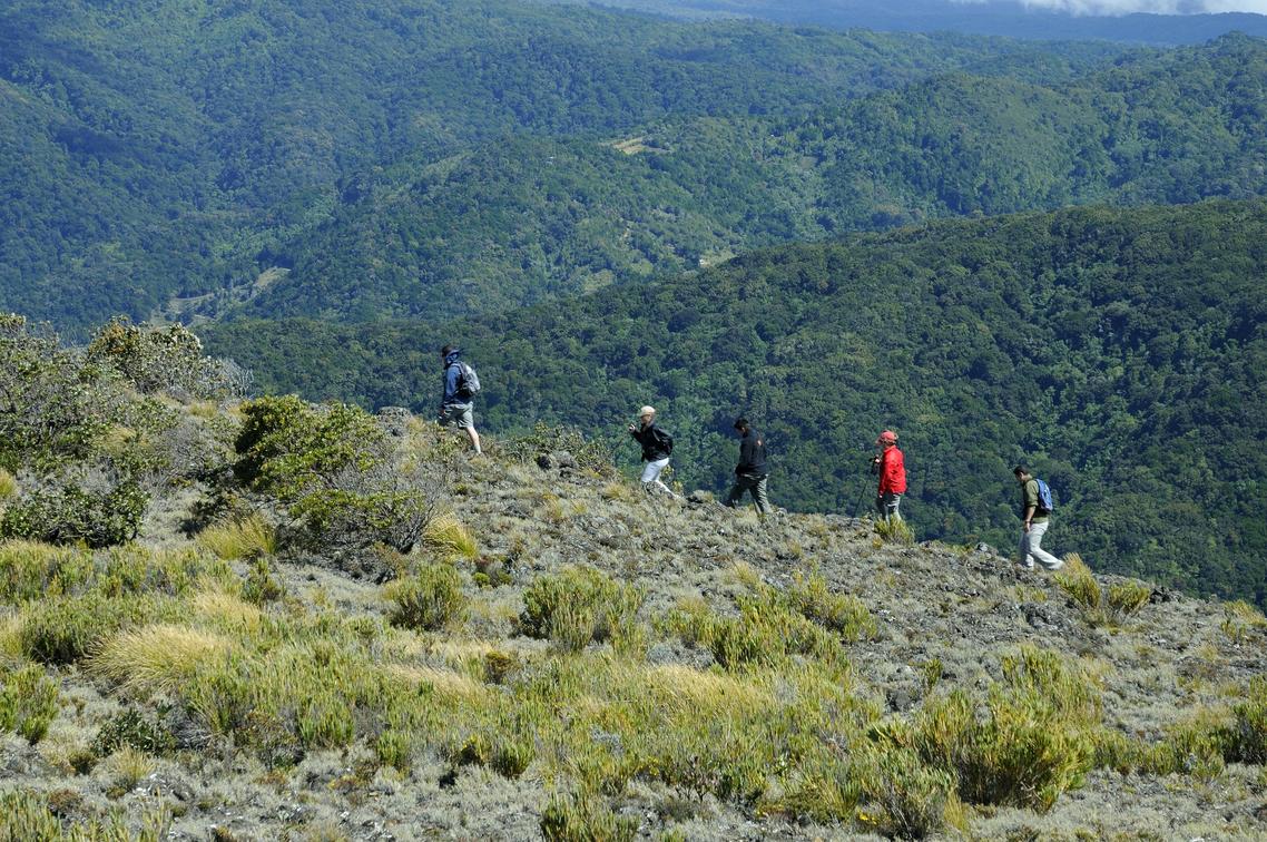 Savegre Lodge Hiking Cerro Buena Vista