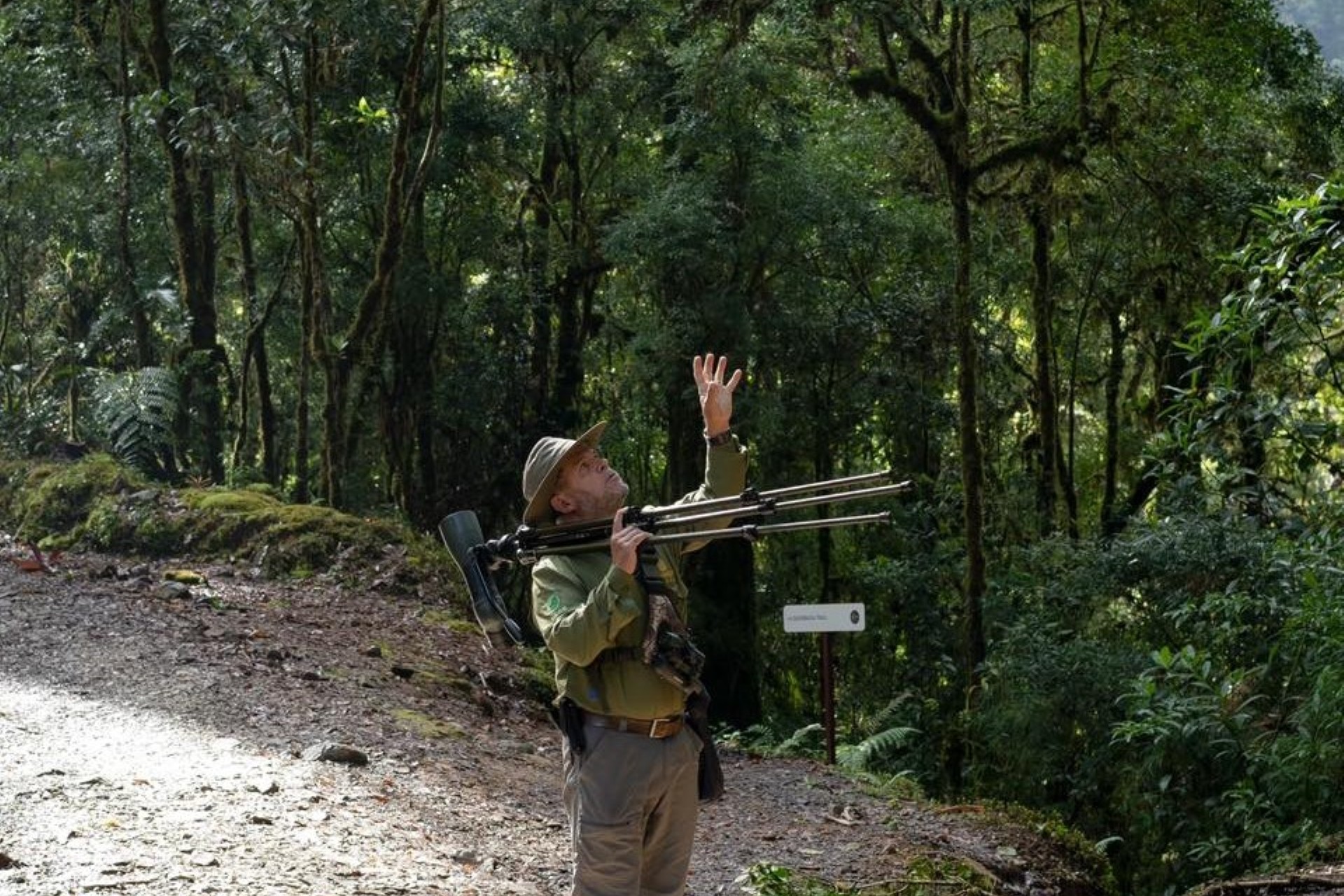 Savegre Lodge Birdwatching