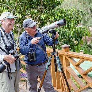 Savegre Lodge Birdwatching