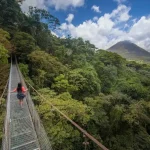 A person in a red shirt walks on a suspension bridge through a lush forest, with a mountain in the background under a partly cloudy sky.