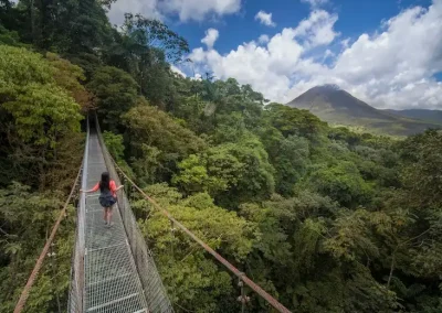 A person in a red shirt walks on a suspension bridge through a lush forest, with a mountain in the background under a partly cloudy sky.