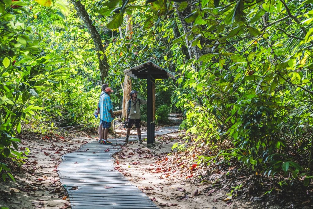 Full Day: Cahuita Snorkeling, Hike + Sloth Sanctuary