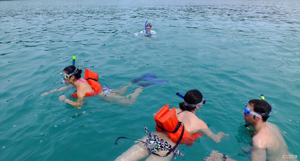 Full Day: Cahuita Snorkeling, Hike + Sloth Sanctuary
