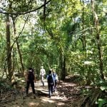 Sirena Ranger Station One-Day Hike