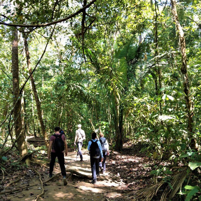 Sirena Ranger Station One-Day Hike