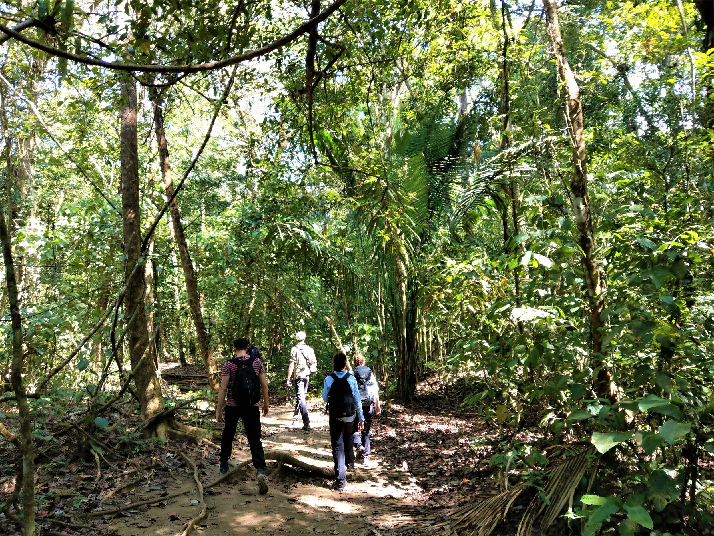 Sirena Ranger Station One-Day Hike
