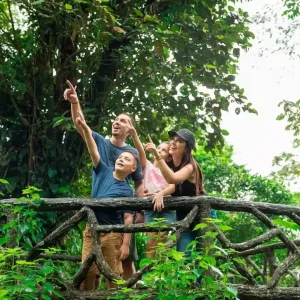 Family of four on a wooden bridge in a lush, green forest. An adult points into the distance while two children watch. The scene conveys adventure and exploration.