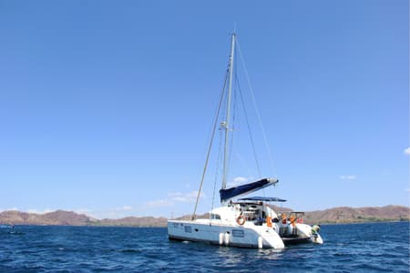 Sunset Catamaran Sailing and Snorkeling Tour