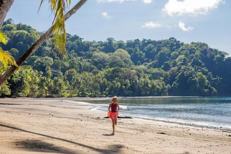 Transfer to Playa Cativo Lodge | Osa Peninsula 