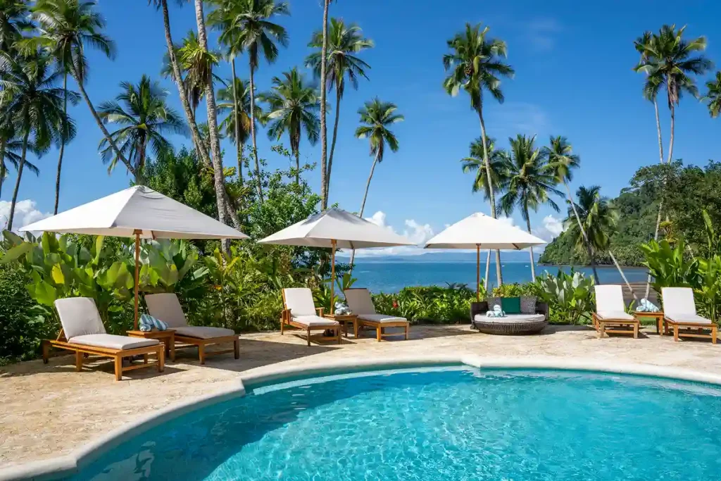 Transfer to Playa Cativo Lodge | Osa Peninsula 