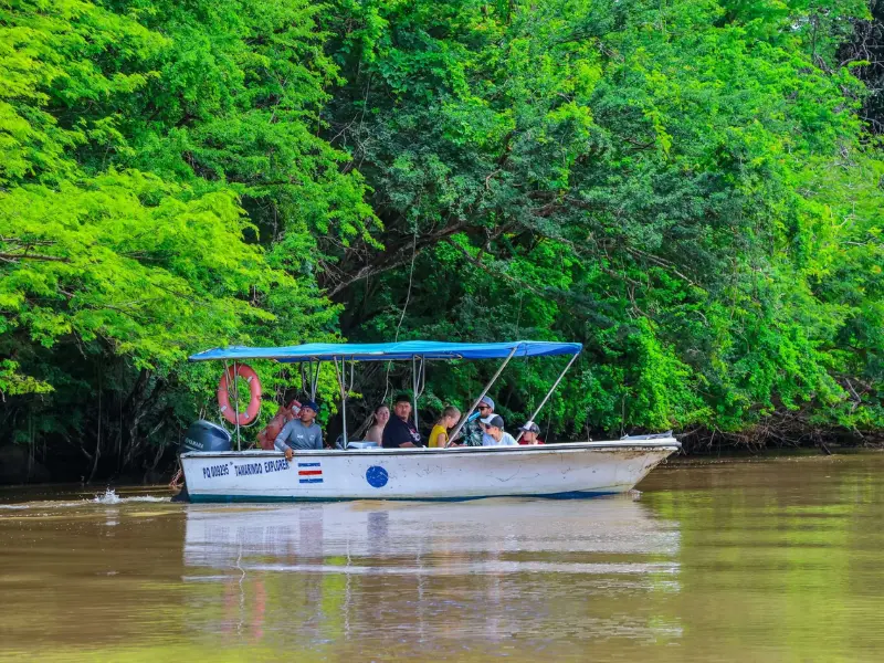 mangrove-boat-tour-tamarindo-costa-rica.png tourists on mangrove boat tour through green jungle near tamarindo costa rica