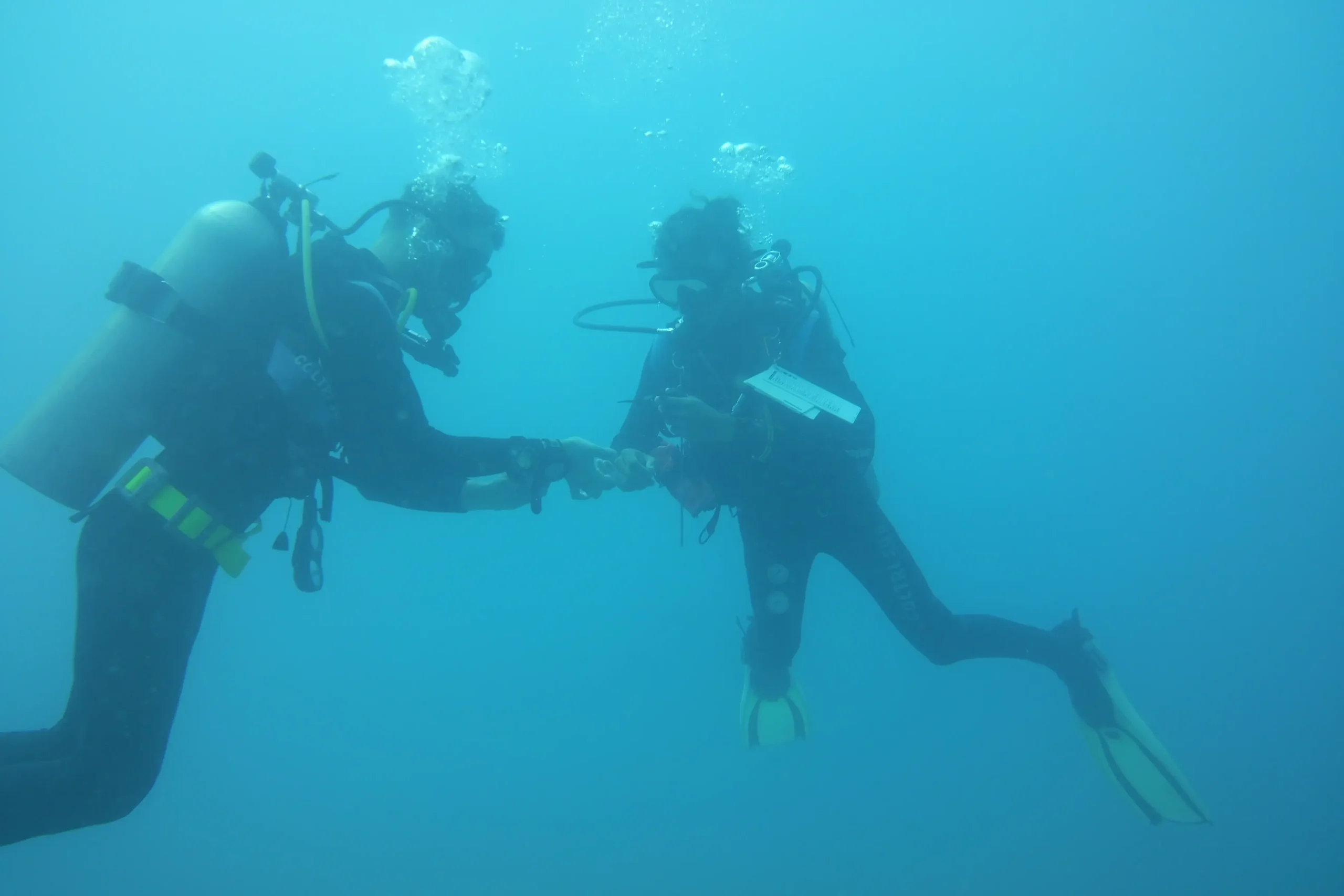 2-Tank Morning Dive Catalinas Island