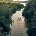 Kayakers paddling through lush green mangroves in Costa Rica on a peaceful nature tour.