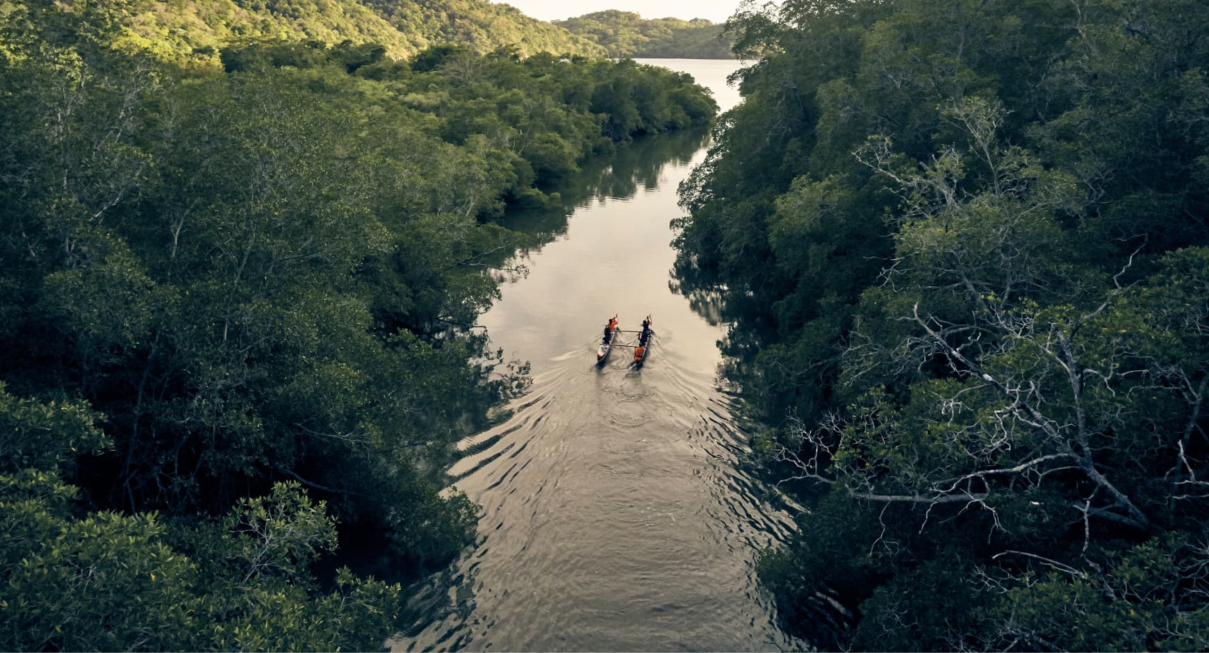 Kayakers paddling through lush green mangroves in Costa Rica on a peaceful nature tour.