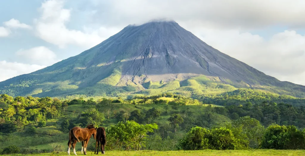 Horses grazing in a green field with Arenal Volcano in the background in Costa Rica