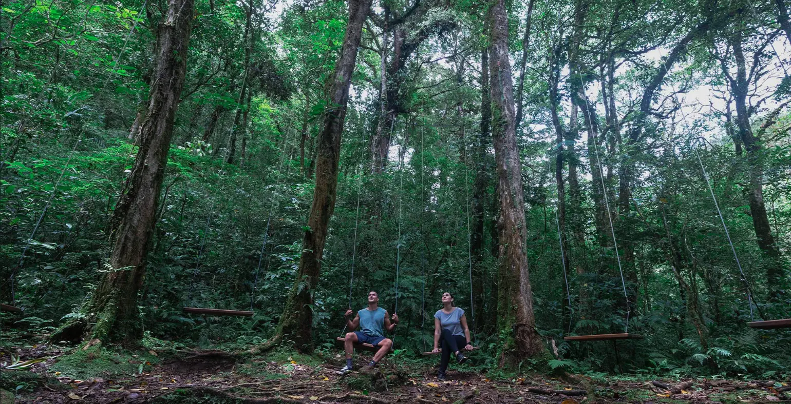 Travelers hiking through tropical rainforest in Costa Rica